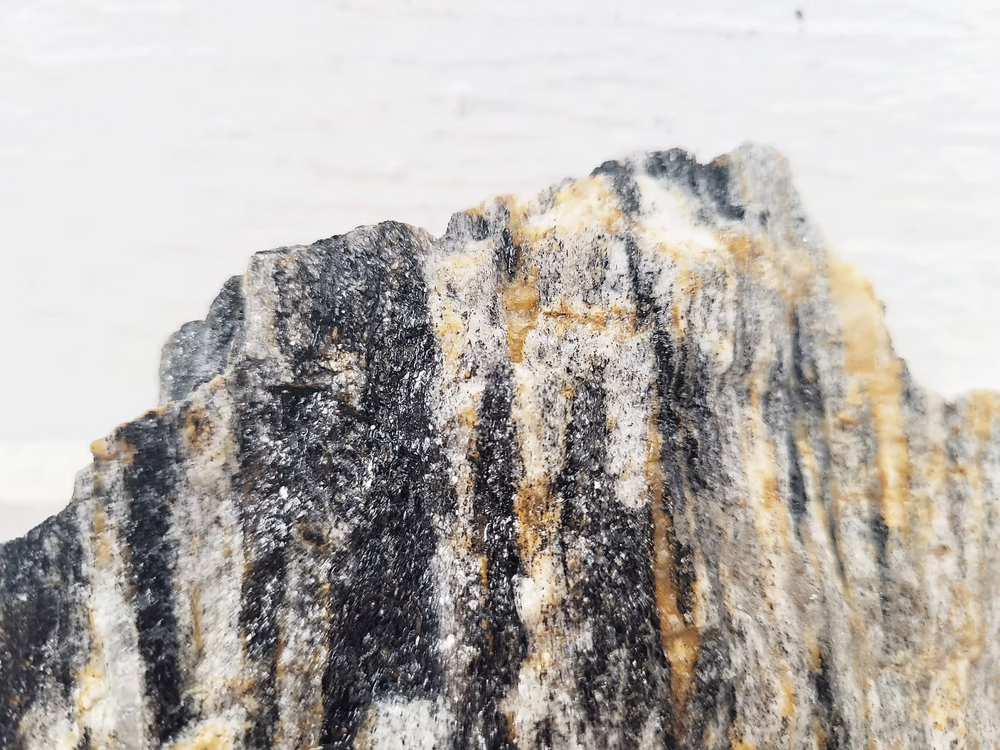 WIO - Grey Fossil Stone