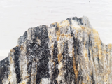 WIO - Grey Fossil Stone