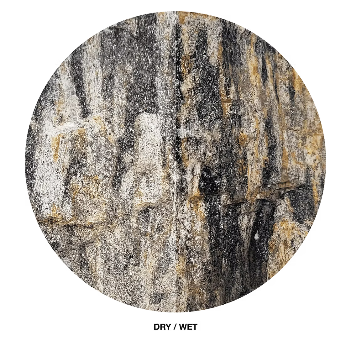 WIO - Grey Fossil Stone