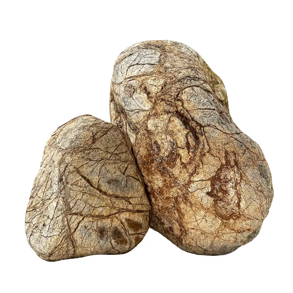 WIO - Zombie Boulder Stone