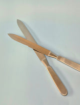 Liston Amputation Knife (2 variants)