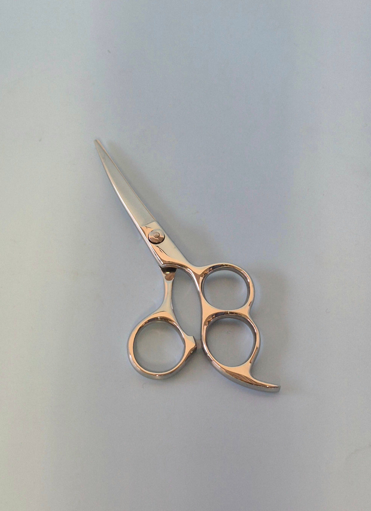 Sabre Curved Shears 5"