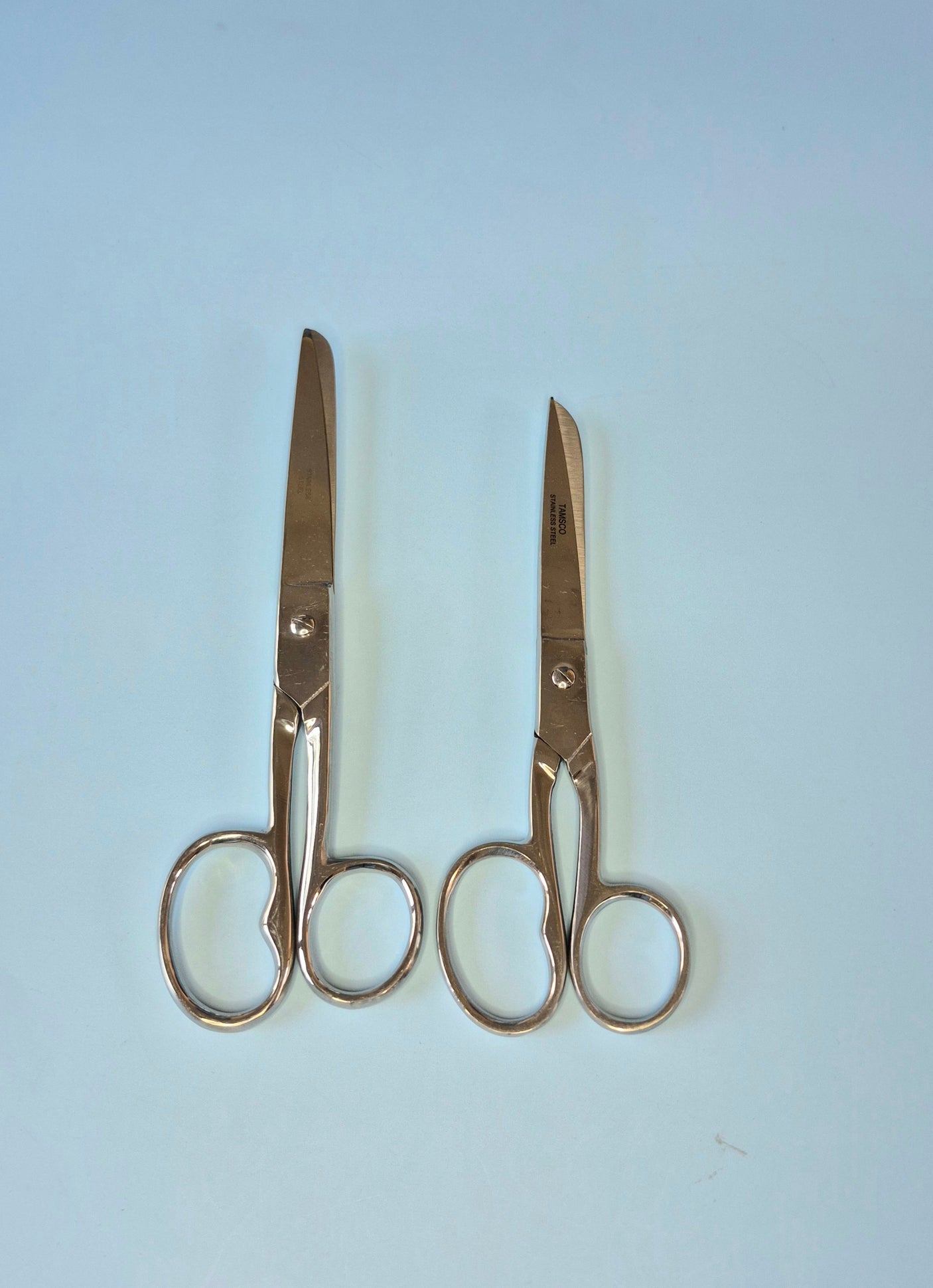 Household Scissors (2 sizes)
