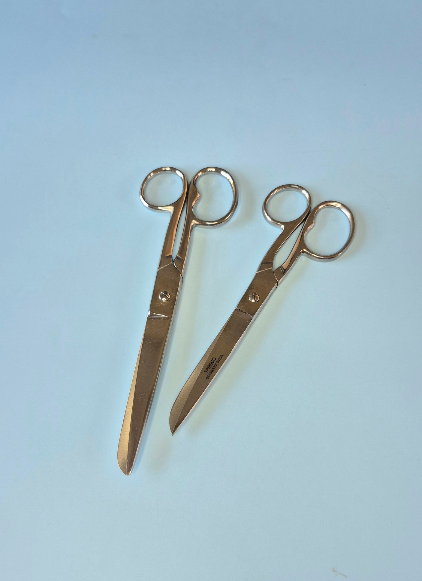 Household Scissors (2 sizes)