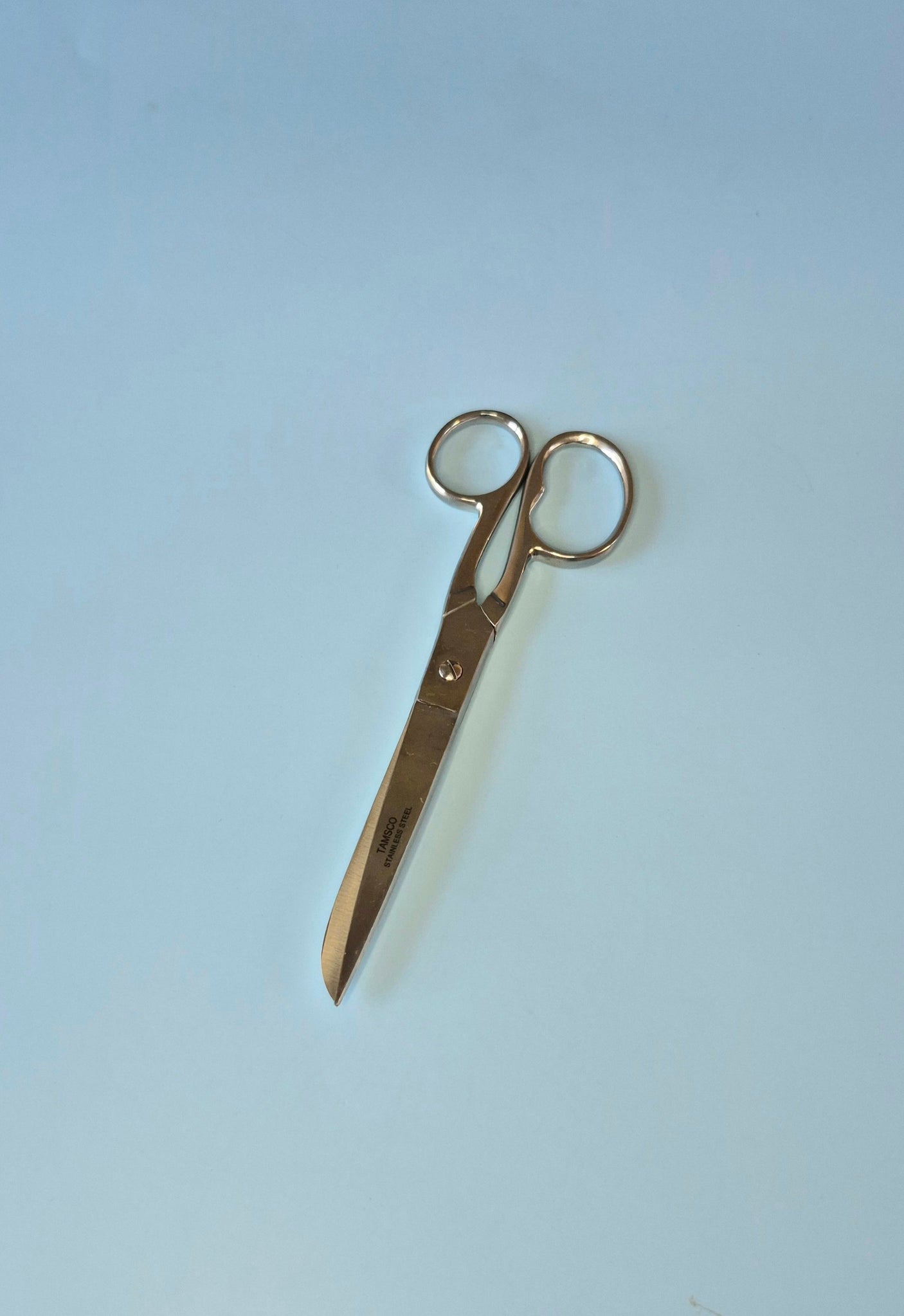 Household Scissors (2 sizes)