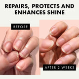 Nail strengthener and conditioner