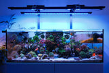 X4 + Rear Arm LED Bundle