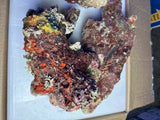 Australian Coral Sea Premium Branch Rock.  (Free 2 day shipping!)