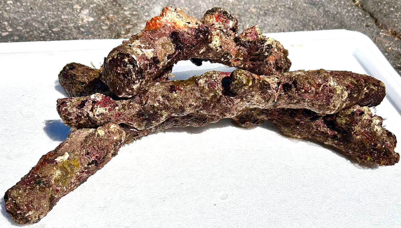 Australian Branching Live Rock.  (Free 2 day shipping!)