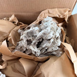 Genuine Premium Fiji Pukani Coral Rock, by MarcoRocks- IN STOCK