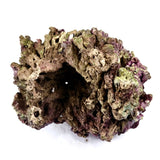 Walt Smith Fiji Live Rock. (Fresh!) 5 lbs. w/ FREE SHIPPING!