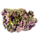 Walt Smith Fiji Live Rock. (Fresh!) 5 lbs. w/ FREE SHIPPING!