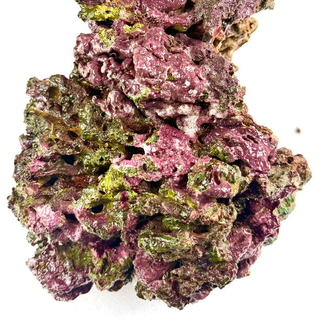 Walt Smith Fiji Live Rock. (Fresh!) 5 lbs. w/ FREE SHIPPING!