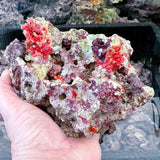 MarcoRocks Maricultured Live Rock. FREE SHIPPING!
