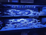 MarcoRocks Aquascaper's Choice- 30lb Box (Natural)