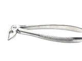 Dental Forcep #33