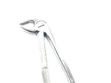 A   Dental Forcep English #22