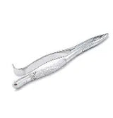 Dental Forcep #213