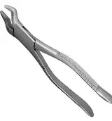 Dental Forcep #210S