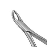Dental Forcep #203