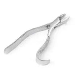 Dental Forcep #99A