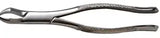 Dental Forcep #88R