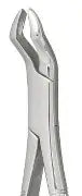 Dental Forcep #53R