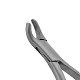 Dental Forcep #24