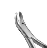 Dental Forcep #287