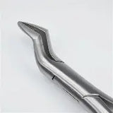 Dental Forcep #286