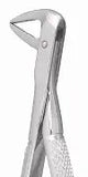 Dental Forcep #74N