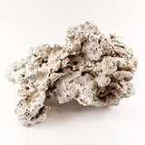 Genuine Premium Fiji Pukani Coral Rock, by MarcoRocks