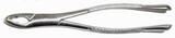 Dental Forcep #151AS