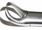 Dental Forcep #23