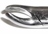 Dental Forcep #24