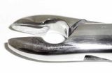 Dental Forcep #99C