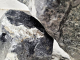 WIO - Black Venom Stone