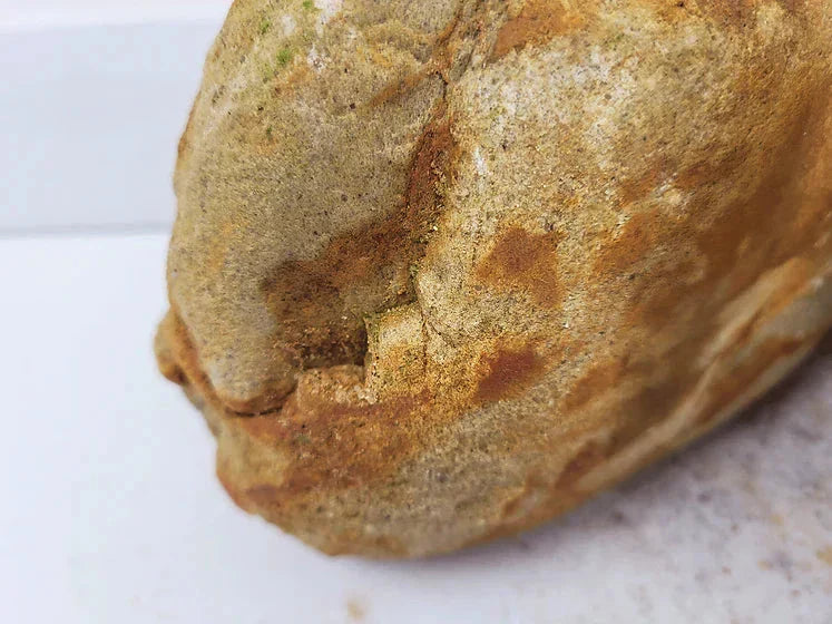 WIO - Bumblebee Boulder