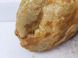 WIO - Bumblebee Boulder