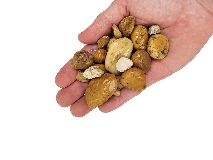 WIO - Bumblebee Gravel Mix