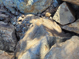 WIO - Bumblebee Stone
