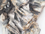 WIO - Grey Fossil Stone