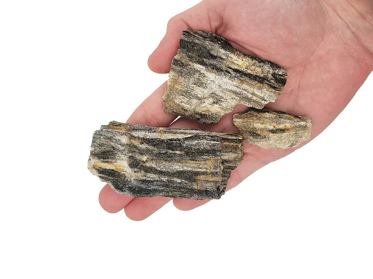 WIO - Grey Fossil Stone