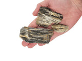 WIO - Grey Fossil Stone