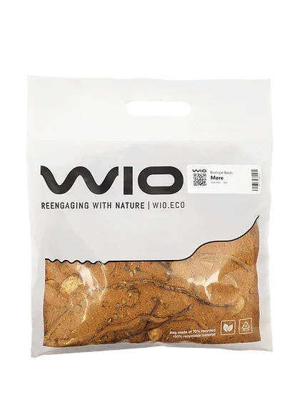 WIO - Amber Dragon Riverbed