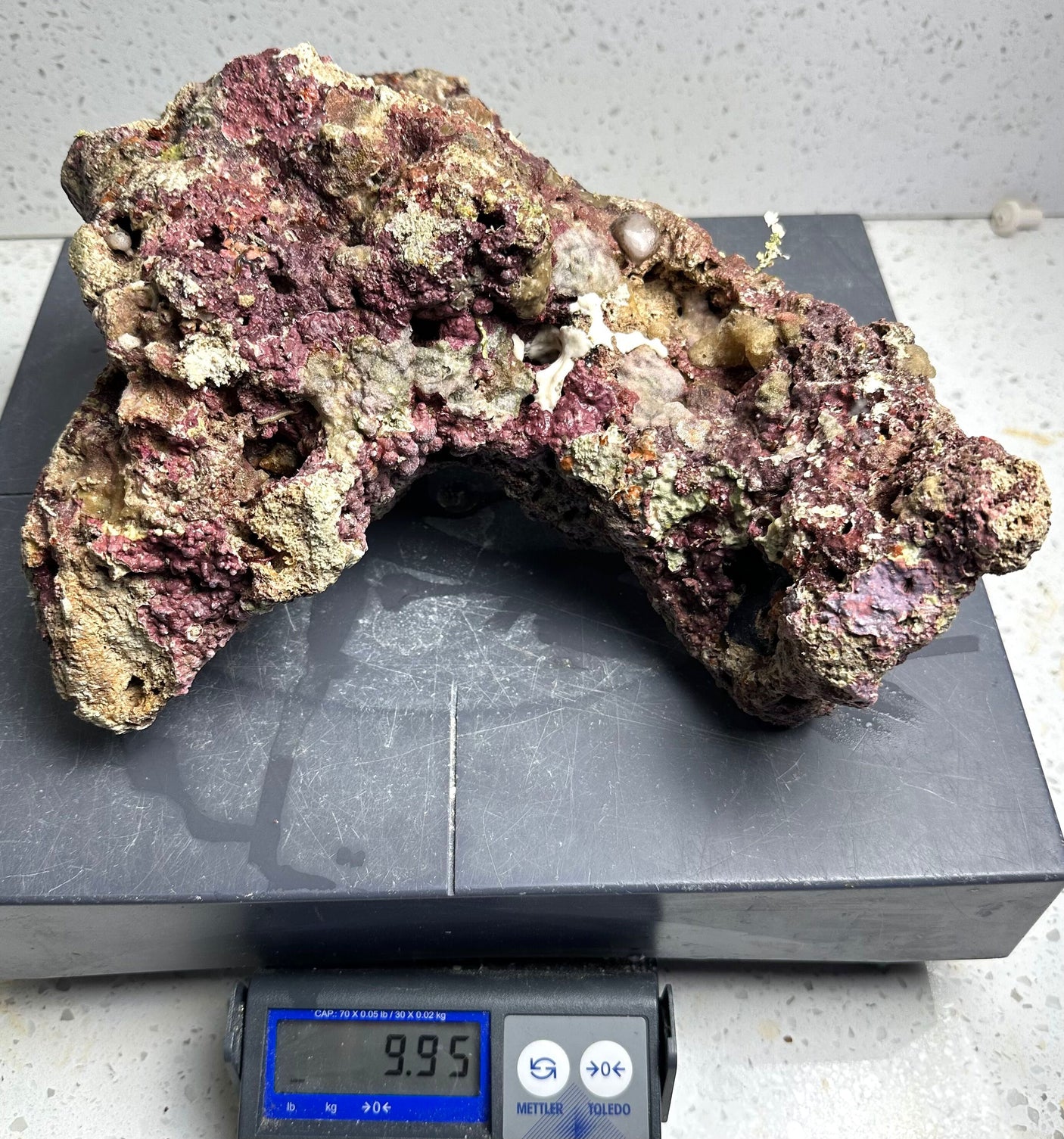 Australian Coral Sea Premium Branch Rock- WYSIWYG (Free 2 day shipping!)