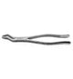 Dental Forcep #210