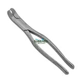 Dental Forcep #5