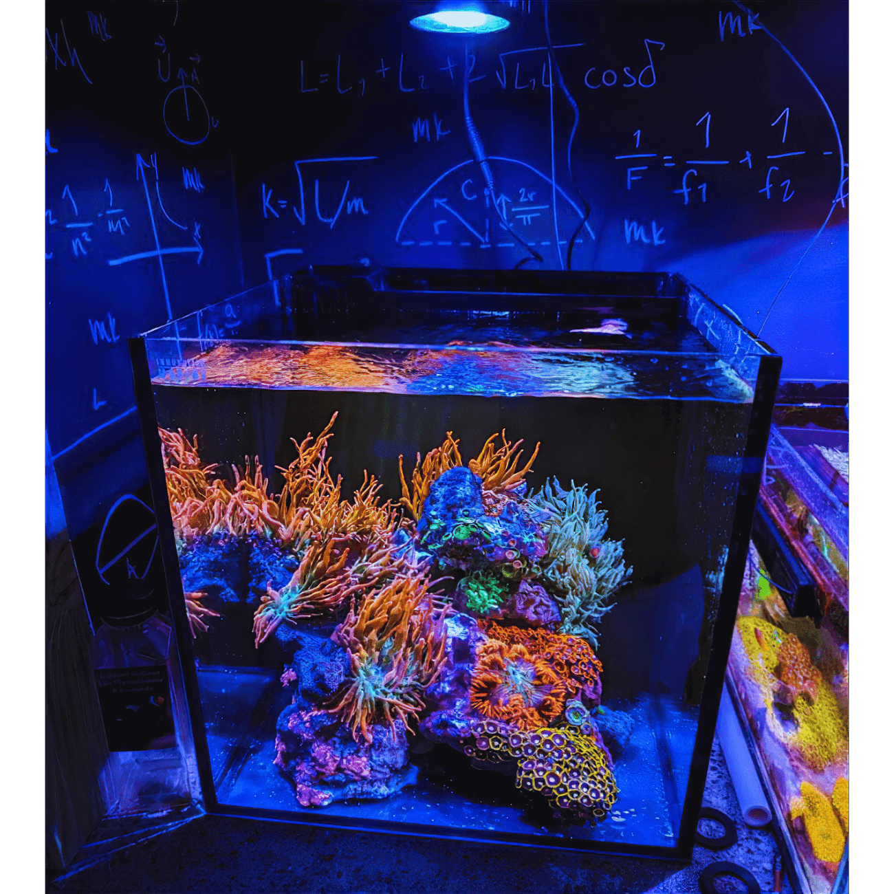 Nano Pixel LED Bundle