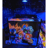 Nano Pixel LED Bundle